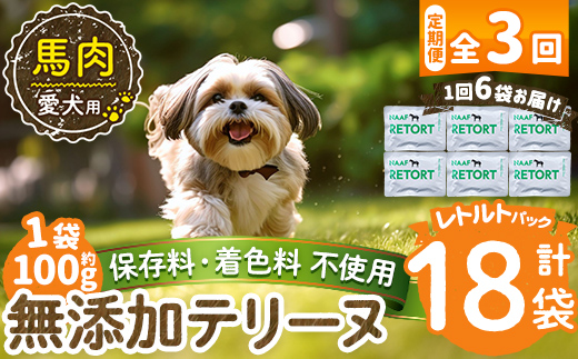 a1087-G 【3回定期便】＜保存料・着色料 不使用＞愛犬用無添加テリーヌ レトルトパック 馬テリーヌ6袋×3回(1袋約100g・合計約1.8kg)【Nフードサービス】姶良市 馬 テリーヌ 犬 ドッグ ペット フード エサ レトルト おやつ ごはん ご飯 間食 ご褒美