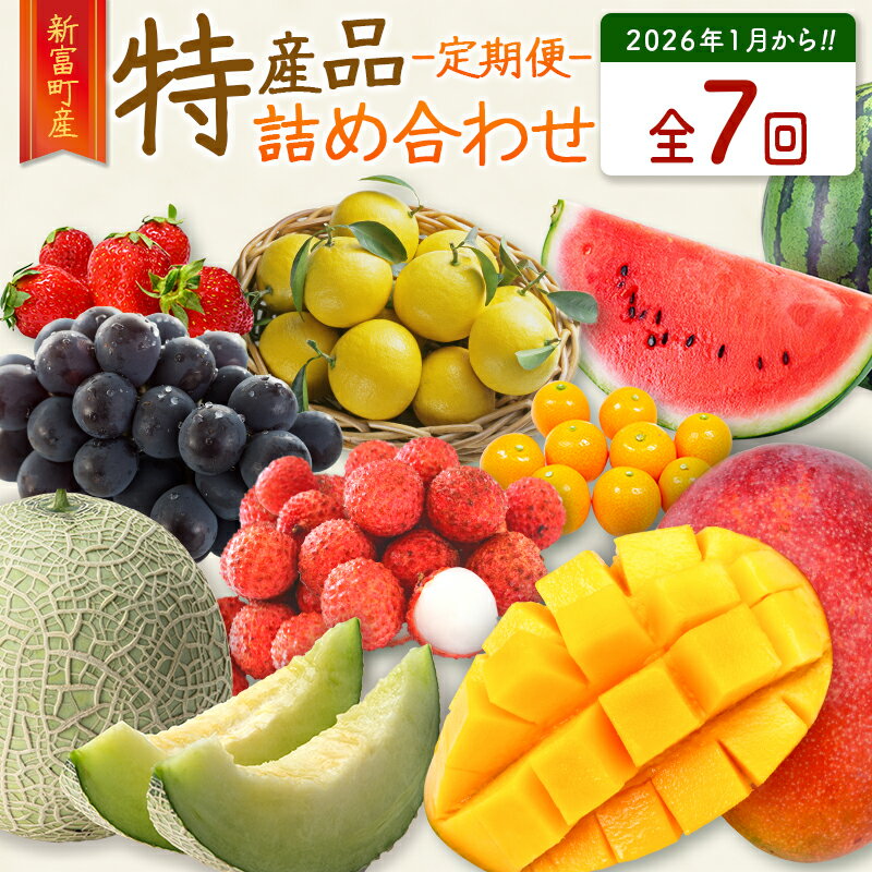 【ふるさと納税】＜数量限定＞新富町 特産フルーツ 詰め合わせ 定期便 7か月コース くだもの マンゴー ライチ メロン 柑橘 国産