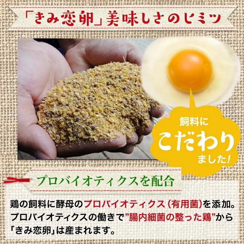 「きみ恋卵」たまごかけご飯セット_12-29-001_(都城市) きみ恋卵 Ｍサイズ 醤油 たまごかけご飯専用醤油「玉子ちゃん」 甘口 卵かけご飯 朝ごはん 朝食