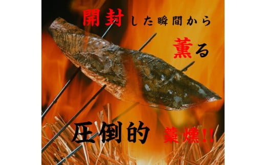 <定期便3回コース> かつおのたたき 訳あり 2.5kg かつお カツオ 鰹 タレ付き かつおたたき 鰹のたたき 訳アリ 定期便 3回 不揃い 規格外 鰹 刺身 刺し身 さしみ 海鮮 藁焼き 数ブロッ