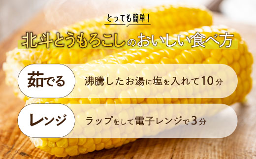 【先行受付】北斗とうもろこし 1kg (2026年8月より順次発送) HOKY003