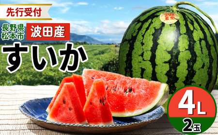【先行受付：2026年発送】松本市 波田産 大玉すいか 2玉入り（4L 9kg～11kg）×２