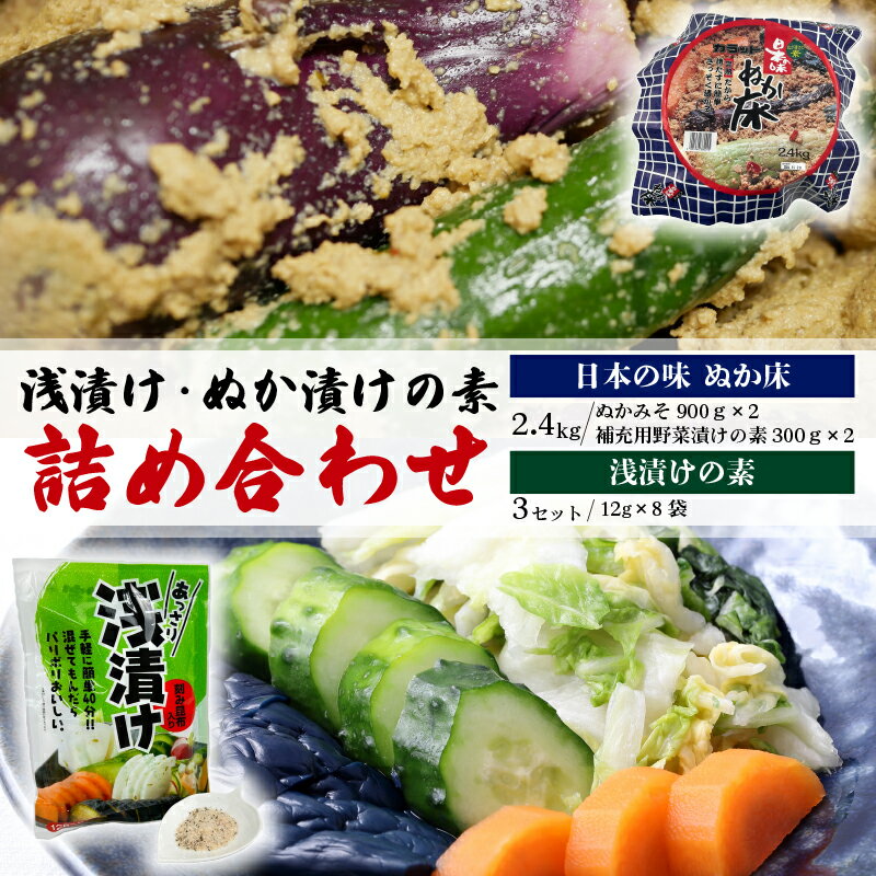 【ふるさと納税】 浅漬け ぬか漬け の 素 セット 浅漬け の 素 72 袋 ぬかみそ 2.4 kg 簡単 個包装 容器 付き ぬか床 完熟 発酵 食品 旨味 唐辛子 刻み 昆布