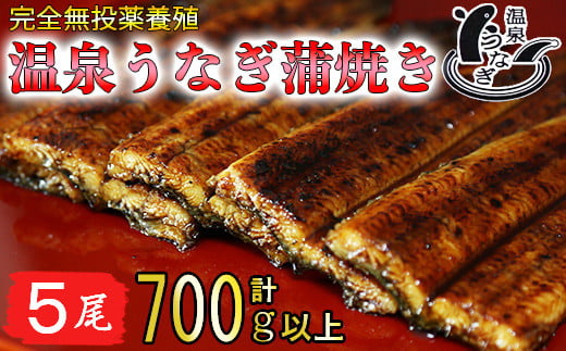 
温泉うなぎ蒲焼 5尾（140gサイズ） 国産うなぎ 人気 国産 蒲焼 蒲焼き かば焼き 鰻屋 個包装 冷凍 真空 ＜104-009_5＞
