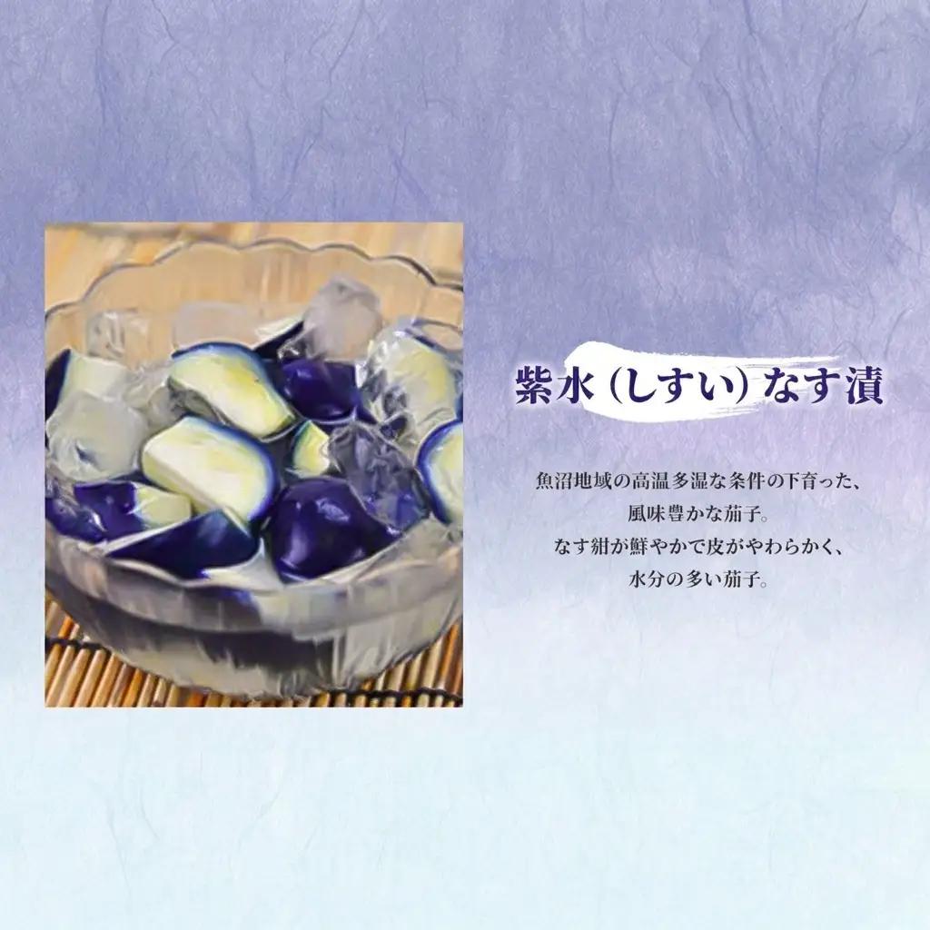 【季節限定】十全なす漬（12袋）【旬！7月～9月お届け】漬物