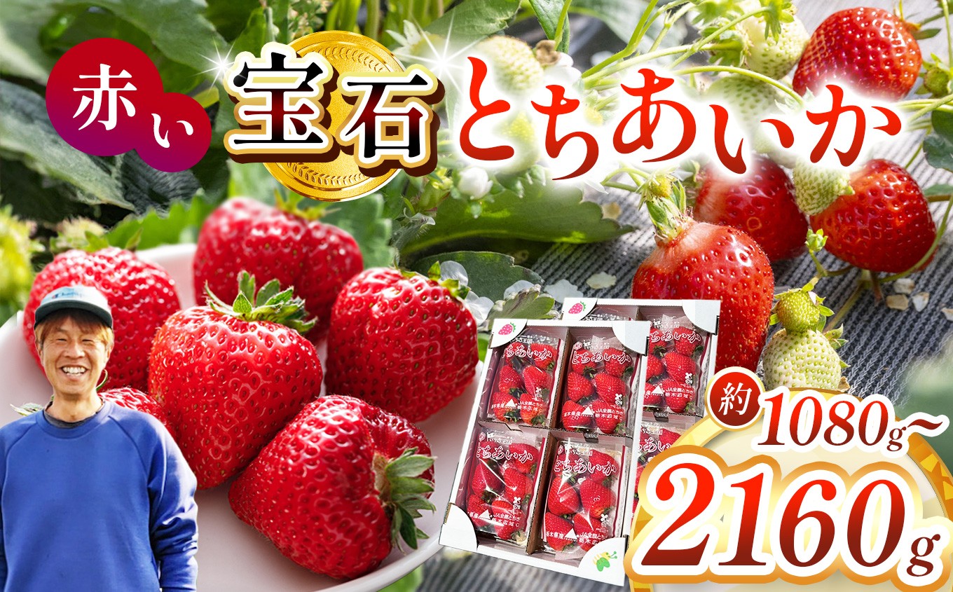 
                  【2027年先行予約】真岡市産 赤い宝石「とちあいか」いちご イチゴ 選べる 1080g or 2160g
                