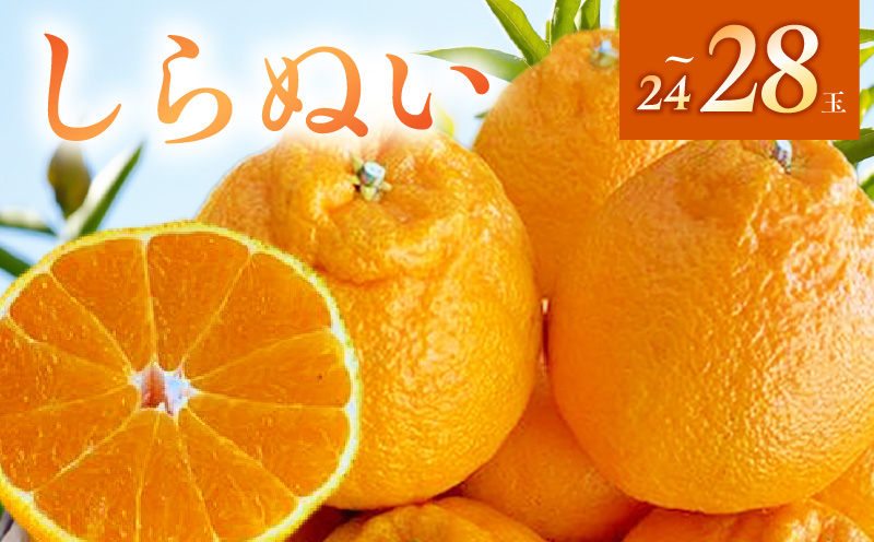 BF6065_（2026年先行受付）しらぬい（デコポン）24～28玉入り ※着日指定不可