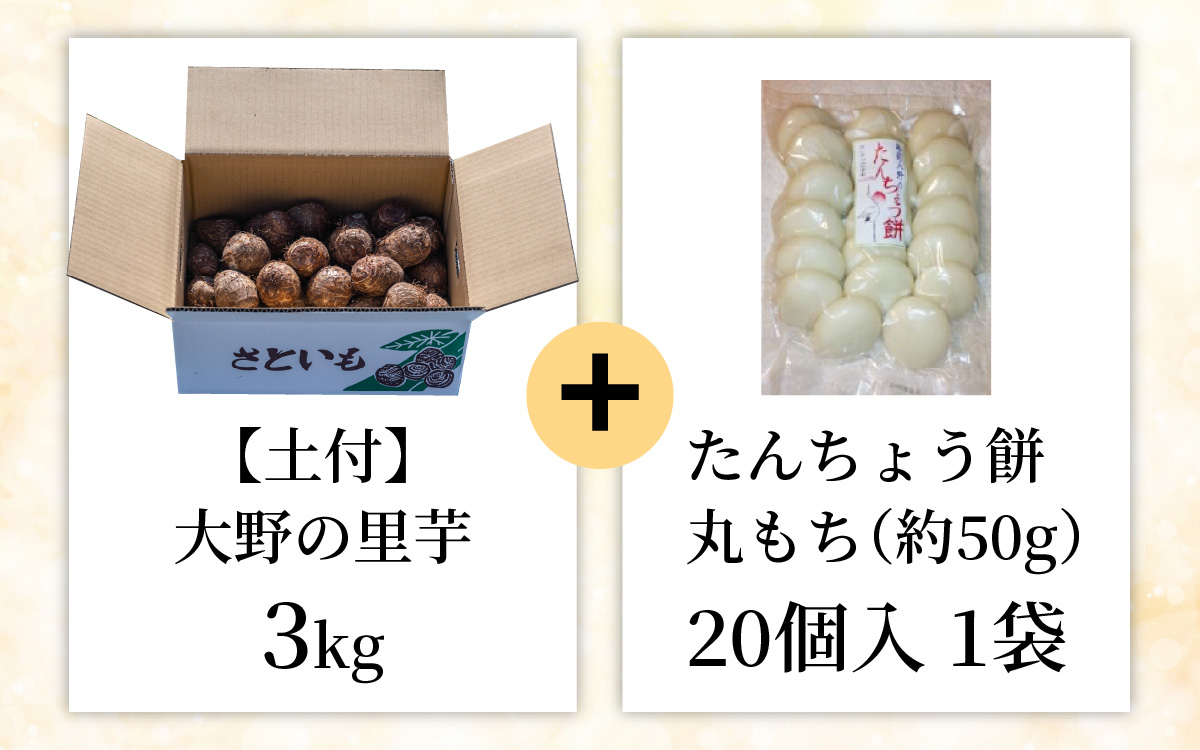 【先行予約】大野の里芋とたんちょう餅の詰め合わせB（里芋3kg+丸餅20個入り×1袋）【2025年11月30日より順次発送】