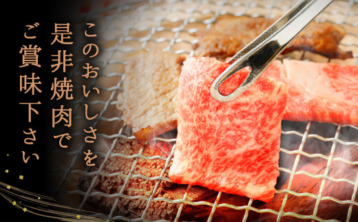 熊本県産 黒毛和牛 ロース 焼肉用 400g 国産 牛肉 焼き肉