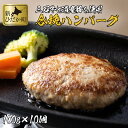 【ふるさと納税】 北海道産 黒毛和牛 みついし牛 ハンバーグ 1kg ( 100g × 10個 ) ブランド 道産豚 合挽 合い挽き ブランド牛 和牛 牛肉 豚肉 牛 豚 肉 ビーフ ポーク ハンバーグステーキ お惣菜 惣菜 10枚 セット冷凍 北海道 新ひだか町