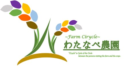 わたなべ農園のきぬむすめ　10kg