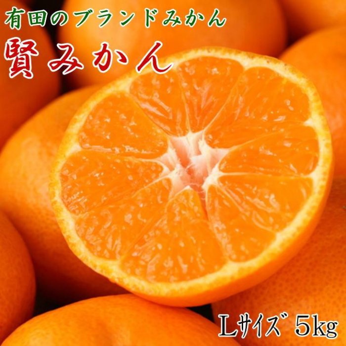 【ふるさと納税】 [秀品]有田のブランド「賢みかん」5kg(Lサイズ) 【2025年11月中旬頃より順次発送】 | みかん 蜜柑 和歌山県 柑橘 有田川町 柑橘類 フルーツ 果物 秀品 Lサイズ 5kg 有田 ふるさと納税 返礼品 お取り寄せ 旬 故郷納税