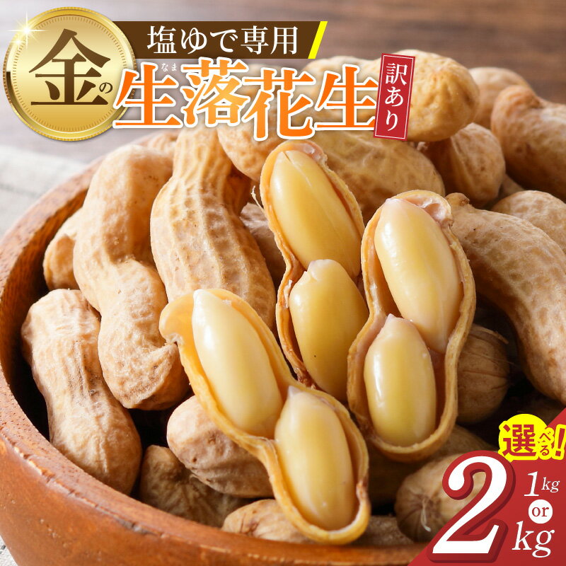 【ふるさと納税】先行予約 生落花生 金の生落花生 訳あり 家庭用 選べる 容量 1kg 2kg やみつき 極うま 生ピーナッツ 塩ゆで専用 国産 落花生 地豆 豆 さとのか 朝採り おつまみ サラダ かき揚げ 食品 神重農産 お取り寄せ 愛知県 碧南市 送料無料