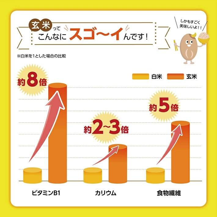 SA0113 　ちっちゃな農家の大きな夢　玄米のやさしいお粥セット