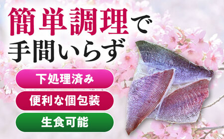 天然 桜鯛 フィーレ 1kg 下処理済 鯛 真鯛 サクラダイ 新鮮たい桜鯛タイ [WCS002]