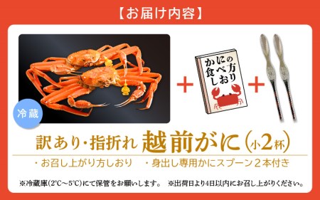越前ガニ本場の越前町からお届け！越前ガニ浜茹で【訳あり】 越前ガニ（小)× 2杯 食べ方しおり かにスプーン付き 越前町の網元漁師厳選の越前ガニ【かに カニ 蟹】【3月発送分】 [e15-x001_0