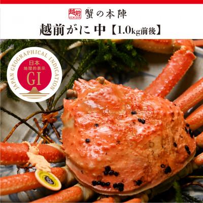 ふるさと納税 越前町 冬の日本海の味　浜茹で【越前がに　中　1.0kg前後】2027年3月発送