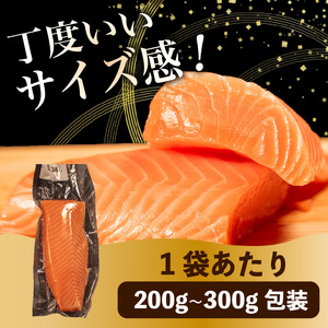 【 濃厚な旨味 】サーモン 約1kg