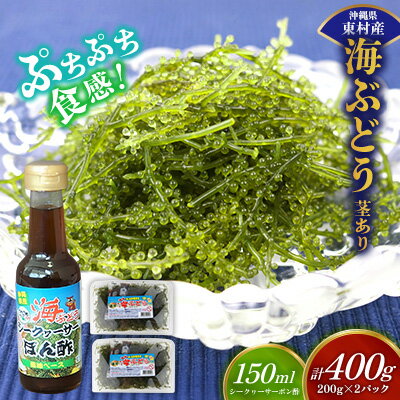 【ふるさと納税】美ら海 沖縄県産 海ぶどうセット／茎あり400g（200g×2パック）ポン酢付 海ブドウ 海ぶどう うみぶどう パック 茎なし クビレズタ たれ付き 海鮮 海藻 プチプチ おつまみ 沖縄料理 ご当地 特産品 グルメ 人気 居酒屋 常温 沖縄県 東村