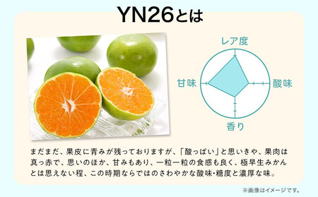 先行予約極早生温州ミカン YN26 約6kg（約3kg×2箱）サイズ混合 和歌山県 有田みかん 2025年9月下旬頃発送