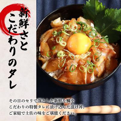 ふるさと納税 田野町 これが魚屋の漬け丼だ! 〜鯛〜 80g×10P ★訳あり★ |  | 01