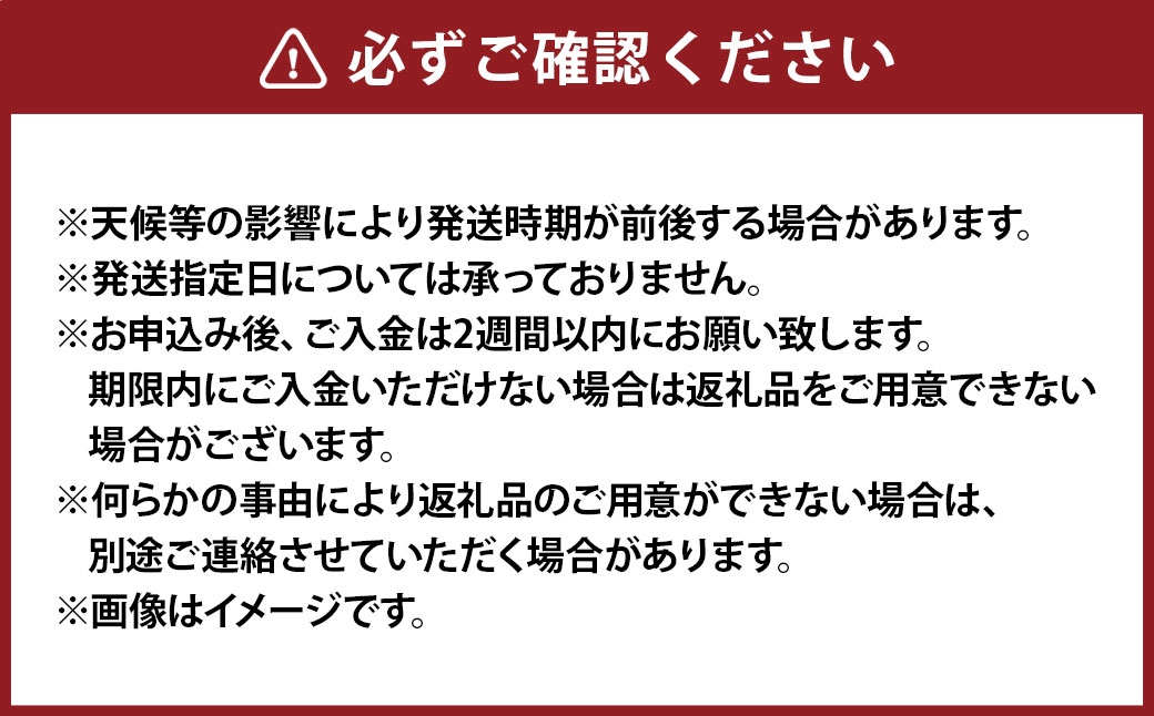 ゴールドラッシュ ヤングコーン 50本