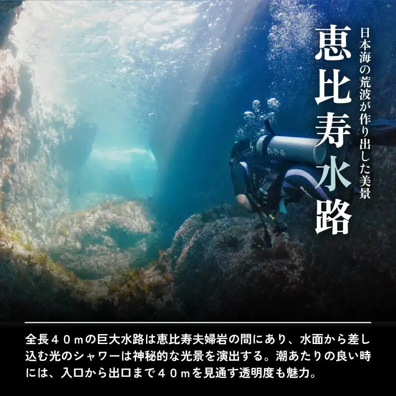利用券 150,000円分 越前海岸国定公園 『海辺の小さな手作りリゾート ECHIZEN LOG（えちぜんログ）』絶景日本海！越前の海を楽しむ マリンアクティビティ 体験・宿泊・飲食 福井県 越前町