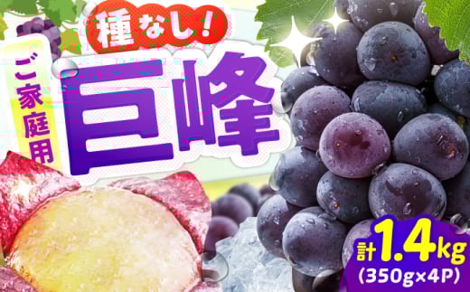 【★先行予約★ 2026年7月下旬より発送】【ご家庭用】種無し巨峰　約350g×4パック 果物 くだもの ぶどう ブドウ　広川町 / JAふくおか八女農産物直売所どろや [AFAB086]