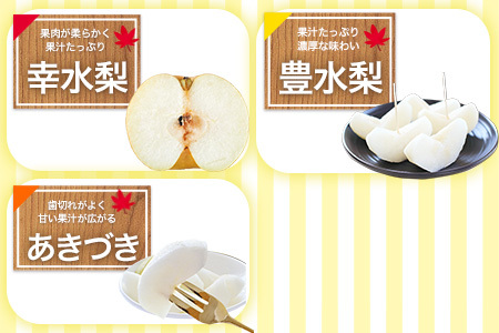 梨 先行予約 旬の梨 約2kg フレッシュフーズ