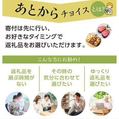 ふるさと納税 白川村 ＼あとから選べる/オンラインカタログ あとからチョイス [S662] |  | 02