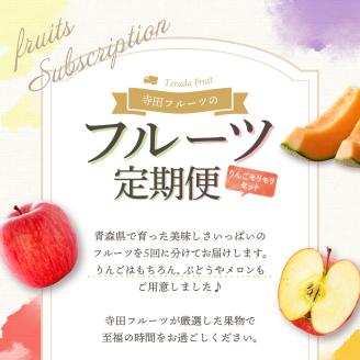 【2024年8月発送開始】フルーツ 定期便 5回 りんご モリモリ セット