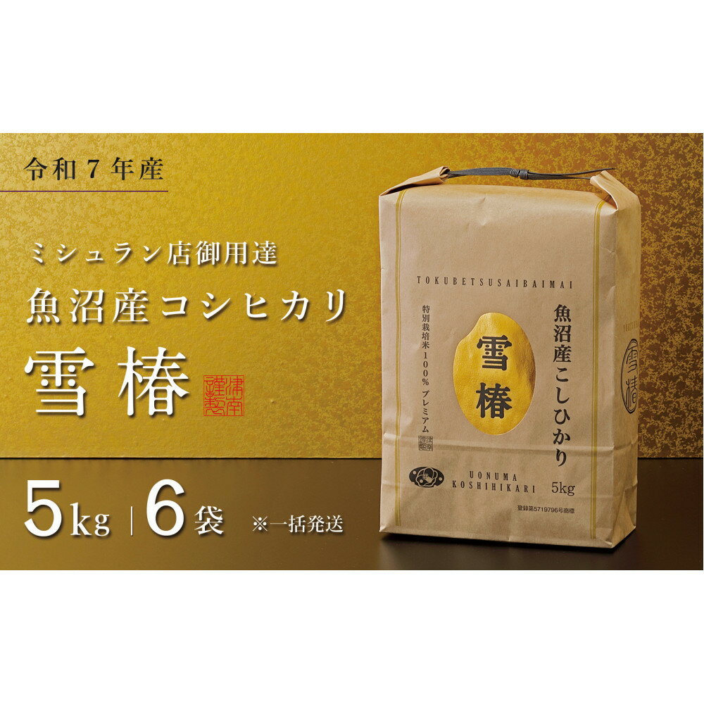 【ふるさと納税】【令和7年産】魚沼産コシヒカリ 雪椿 30kg (5kg×6袋) 特別栽培米　※一括発送