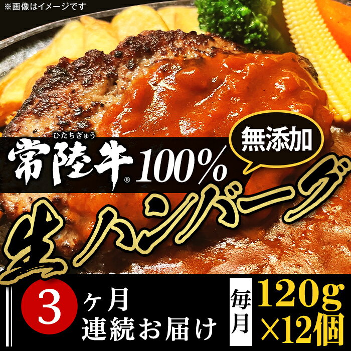 【ふるさと納税】定期便 3回 牛肉 黒毛和牛 常陸牛 ハンバーグ 冷凍 国産 贅沢 生ハンバーグ120g×12個【常陸牛】100％【3ヶ月連続お届け】