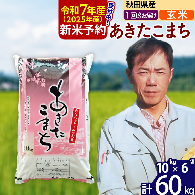 【ふるさと納税】※令和7年産 新米予約※秋田県産 あきたこまち 60kg【玄米】(10kg袋)【1回のみお届け】2025年産 お米 みそらファーム