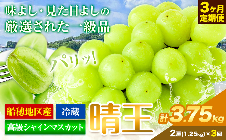 高級 シャインマスカット 3ヶ月 定期便 [2025年先行予約] ぶどう 晴王 2房 3.75kg 岡山県産 《9月上旬-11月末頃出荷(土日祝除く)》 ハレノフルーツ マスカット 送料無料 岡山県 浅口市 フルーツ 果物 贈り物 ギフト 国産 岡山県産【配送不可地域あり】（北海道・沖縄・離島）