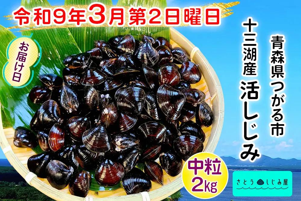 [令和9年3月第2日曜日配達] さとうしじみ屋の十三湖産活しじみ(中粒2kg)[冷蔵] [0808]