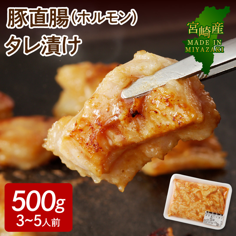 【宮崎産】豚直腸(ホルモン)タレ漬け500g(3～5人前)N061-YA0456