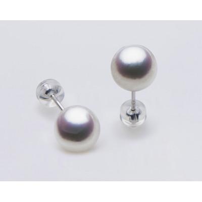 ふるさと納税 長崎市 アコヤ本真珠WG-8.5mm　ピアス【プレミアム】
