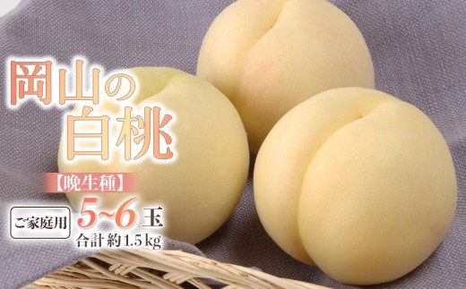 桃 2027年 ご家庭用 白桃（晩生種） 5～6玉 合計約1.5kg 【家庭用 白桃 桃 もも 岡山県産 国産 フルーツ 果物 新鮮 おすすめ 人気 岡山県 岡山市 国産 】