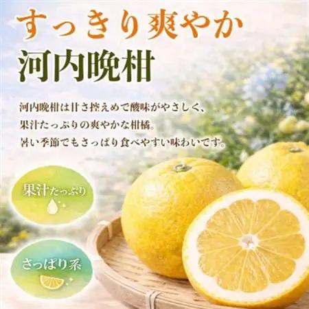河内晩柑(ジューシーオレンジ)みかん 訳あり 約4kg(益城町)【1726321】