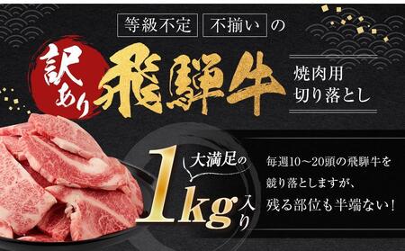 【7月配送】訳あり 飛騨牛焼肉用切り落とし たっぷり1kg （不揃い・大容量）| 訳あり BV027VC07