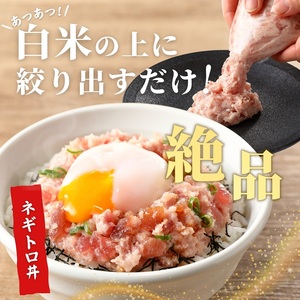 a12-069　焼津 天然 鮪 使用 ネギトロ 小分け 約100g×15