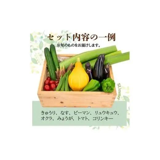 【 野菜 】 野菜セット 6～8品