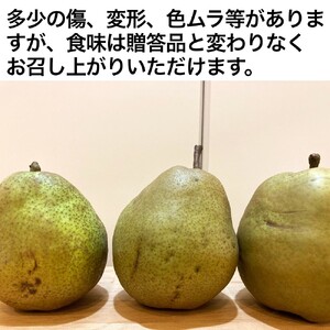 西洋梨（ラ・フランス）２.８ｋｇ　Ｍ・Ｌサイズ　ご家庭用（小）　0052-2405