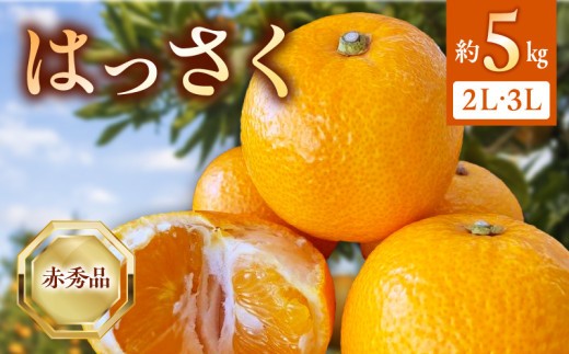 
                  【2027年先行予約】はっさく 赤秀品2L、3Lサイズ 5kg_BF6068
                