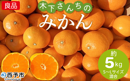 ＜木下さんちのみかん 良品 約5kg（S～Lサイズ混合）＞柑橘類 温州みかん ミカン 果物 くだもの フルーツ 特産品 木下農園 西宇和 愛媛県 西予市【常温】『2026年11月中旬〜12月下旬に順次出荷予定』MKS0003
