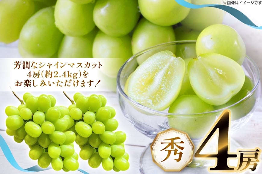 【期間限定発送】 シャインマスカット 秀 4房 約 2.4kg [もん前の里 山形県 高畠町 tk06ays960003] フルーツ 果物 くだもの ぶどう ブドウ 葡萄 2.4キロ 甘い