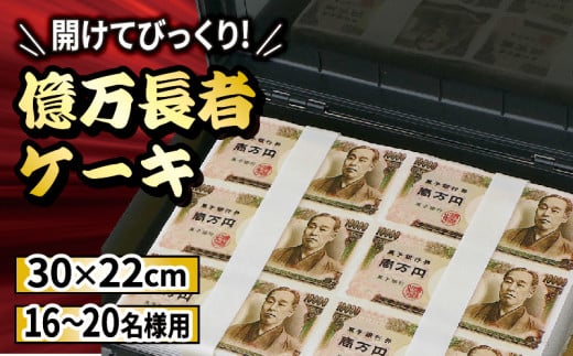 億万長者ケーキ 30×22cm 16～20名様用 冷凍 ケーキ おもしろケーキ パーティー バラエティ 1万円 洋菓子 焼菓子 デザート スイーツ チョコレート チョコ アイス ゼリー プリン シュークリーム  クリーム バター 卵 たまご お菓子 おやつ アタッシュケース 誕生日 記念日 結婚記念日 ギフト プレゼント 贈答 送料無料 徳島県 阿波市 CAKE EXPRESS