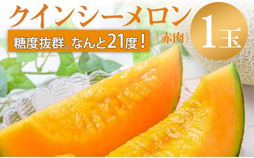 【発送5月～】糖度21度以上！奇跡の甘さ クインシー メロン 1玉 めろん 赤肉 人気 おすすめ クインシー 甘い フルーツ 濃厚 くだもの 高糖度 自家栽培 めろん 贈答用 贈り物 プレゼント  送料無料 片岡農園 クレストファーム 茨城県 鉾田市