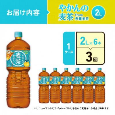 ふるさと納税 えびの市 【毎月定期便】やかんの麦茶 from 爽健美茶 PET 2L×6本(1ケース)(えびの市)全3回 |  | 01